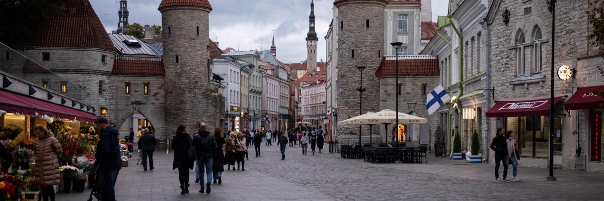 Serwis Szkolnictwo wyższe w Estonii: uczelnie, studia I stopnia, studia magisterskie i doktoranckie - v.PL, study